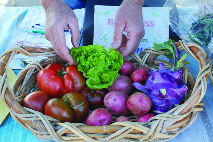 Celebrate end of 2026 growing season with Partridge Creek Farm, Salvation Army